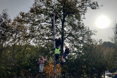 IMG_20231023_110601